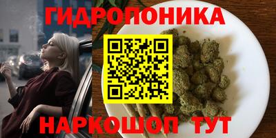 ECSTASY Будённовск