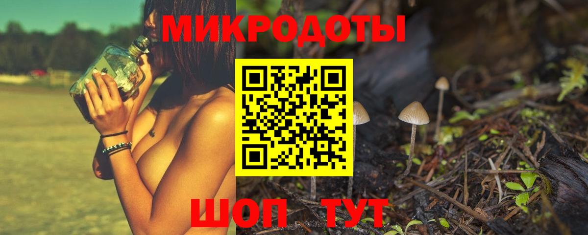 Псилоцибиновые грибы ЛСД Кудрово