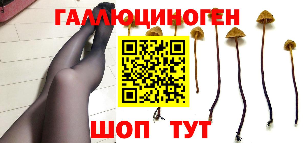 Псилоцибиновые грибы Psilocybe  Псилоцибиновые грибы Magic Shrooms  Вход с VPN  Кудрово 